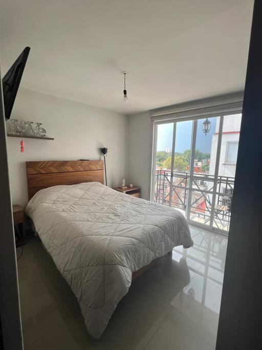 Departamento En Coyoacan メキシコシティ エクステリア 写真